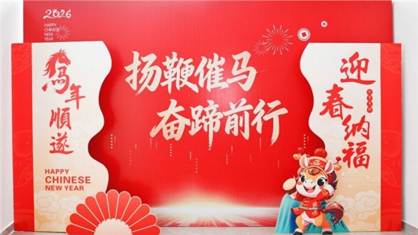 揚鞭催馬開新局，奮蹄前行譜華章——特力公司2025年度總結(jié)表彰大會圓滿舉行